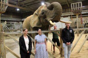 Priti Patel MP with (from left) Rebecca Moore - Zoo Director, Claire Bennett – Elephant Team Leader, Andrew Hall – British & Irish Association of Zoos & Aquaria and the star of the show - Tanya, the African elephant.