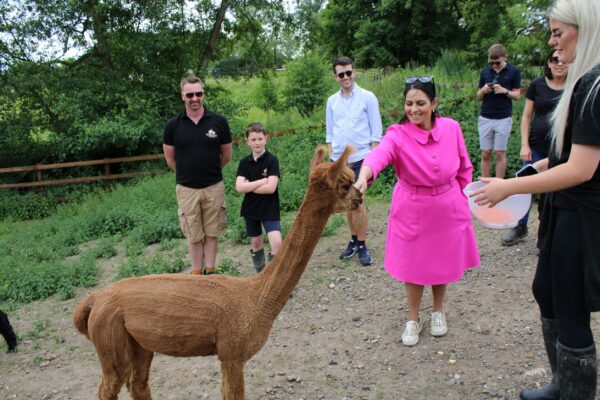 Priti helps with the feeding of the alpacas, while farm owner Gareth Tungatt (left) and Cllr Ross Playle look on.